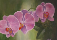 Original art for sale at UGallery.com | Orchid Trio by Joanie Ford | $475 | oil painting | 16' h x 20' w | thumbnail 4