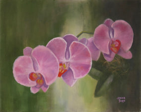 Original art for sale at UGallery.com | Orchid Trio by Joanie Ford | $475 | oil painting | 16' h x 20' w