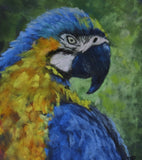 Original art for sale at UGallery.com | Macaw's Gaze by Joanie Ford | $300 | pastel artwork | 12' h x 9' w | thumbnail 4