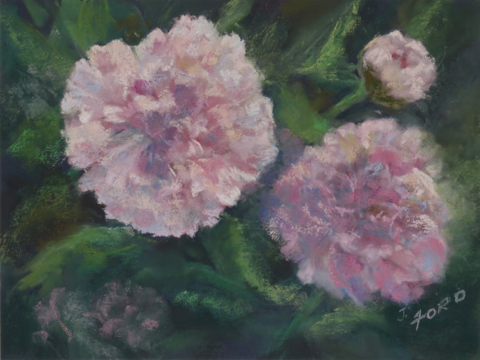 Softly, the Peonies by Joanie Ford |  Artwork Main Image 
