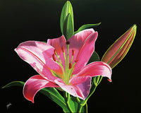 Original art for sale at UGallery.com | Stargazer by John Jaster | $1,175 | acrylic painting | 24' h x 30' w | thumbnail 1