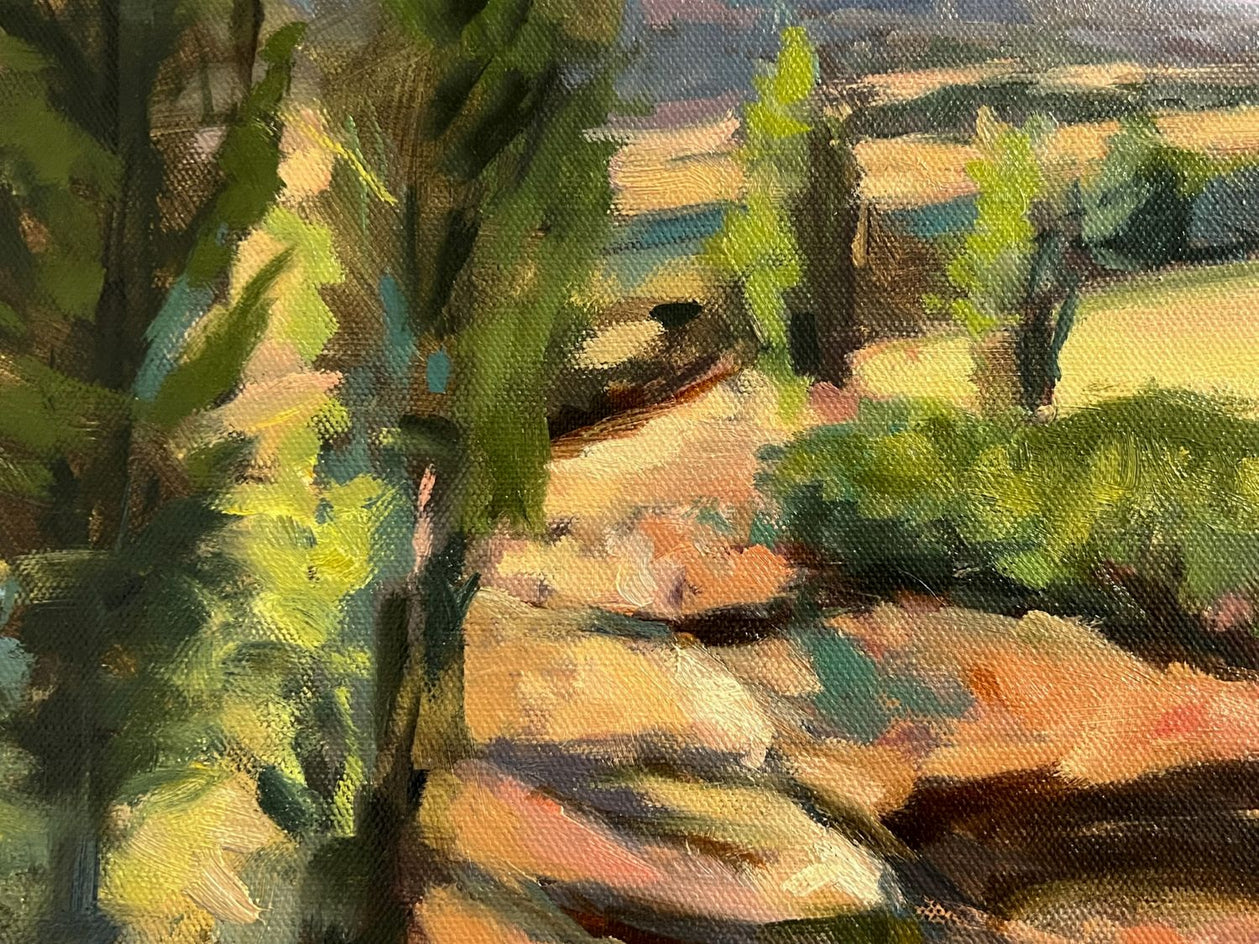 On the Camino de Santiago by Jonelle Summerfield |  Closeup View of Artwork 