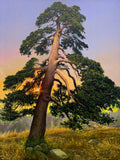 Original art for sale at UGallery.com | Pine by Jose Luis Bermudez | $3,800 | oil painting | 48' h x 36' w | thumbnail 1