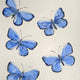Original art for sale at UGallery.com | Little Blues by Karen Barton | $700 | oil painting | 10' h x 10' w | thumbnail 4