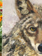 Original art for sale at UGallery.com | Riley Coyote by Karen Barton | $825 | oil painting | 14' h x 11' w | thumbnail 4