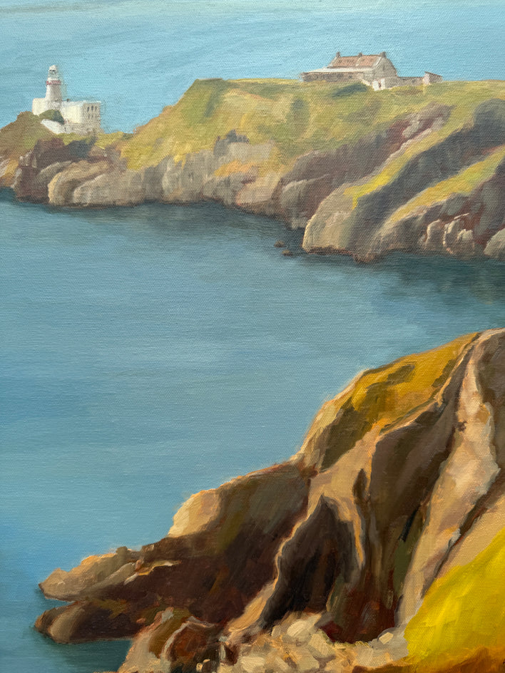 Howth, Ireland by Karen d’Angeac Mihm |  Closeup View of Artwork 