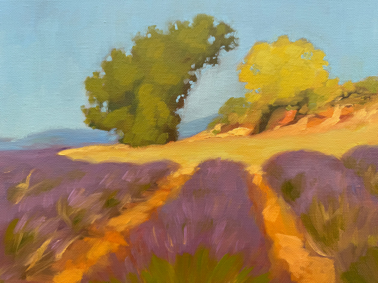 Lavender Field in Provence by Karen d’Angeac Mihm |  Closeup View of Artwork 
