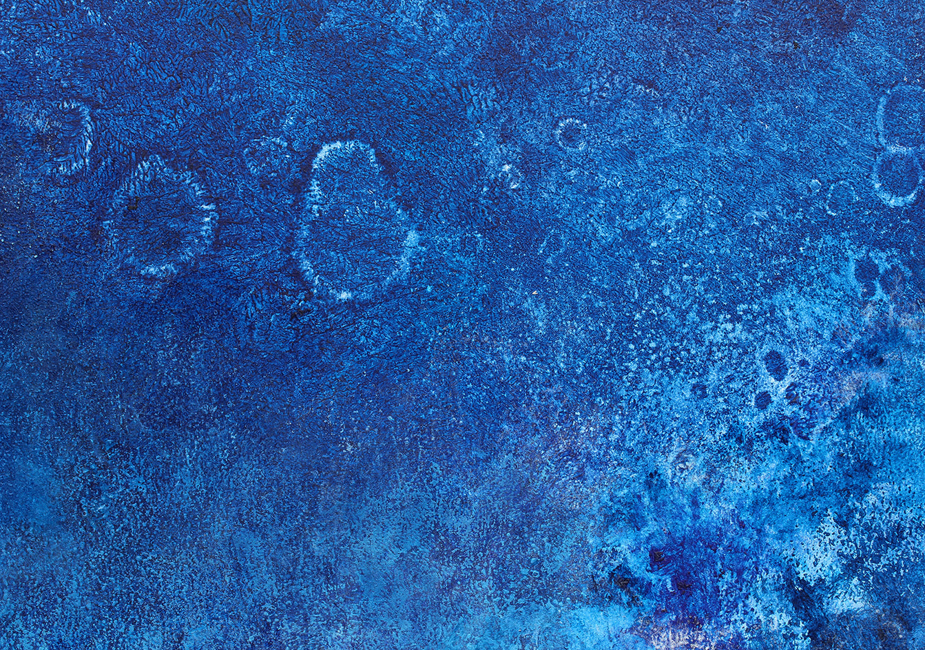 Kosmos by Karen Hansen |  Closeup View of Artwork 