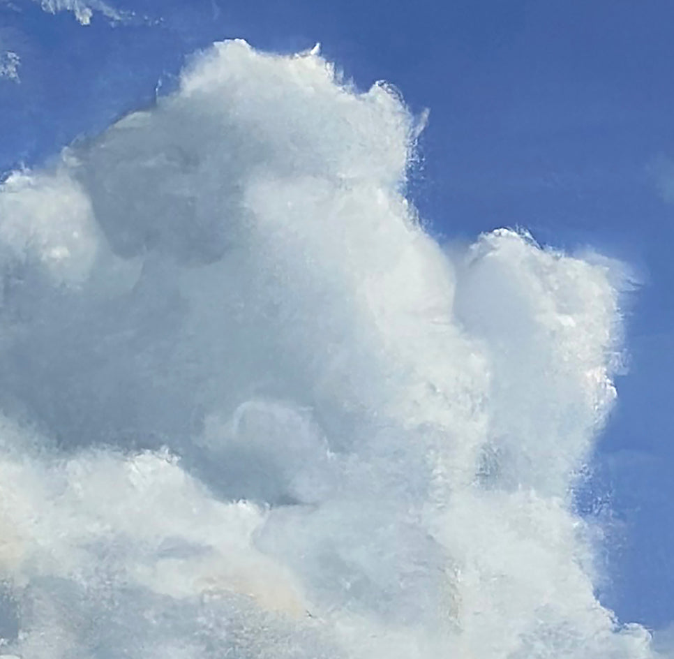 Buttercup Valley by Kat Bergman |  Closeup View of Artwork 