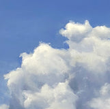 Original art for sale at UGallery.com | Gentle Giant by Kat Bergman | $2,725 | oil painting | 25' h x 37' w | thumbnail 4