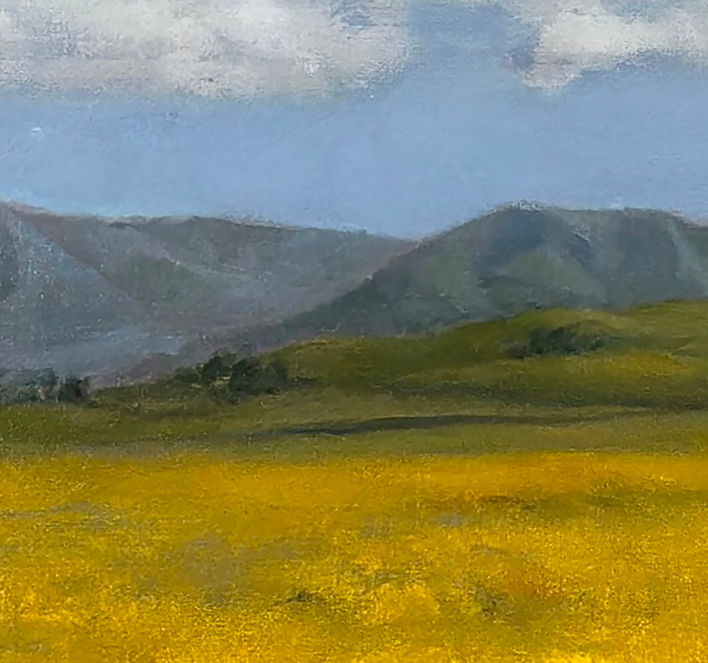 Spring Arrives in Hollister by Kat Bergman |  Closeup View of Artwork 