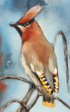 Original art for sale at UGallery.com | Silktail by Kristina Ingvarsson | $200 | oil painting | 9' h x 7' w | thumbnail 4