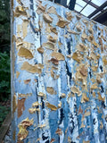 Original art for sale at UGallery.com | Birchlight by Lisa Elley | $750 | oil painting | 14' h x 18' w | thumbnail 4
