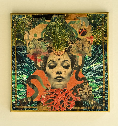 Snake Charmer by Mandy Main |  Context View of Artwork 