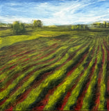 Original art for sale at UGallery.com | Red Field XXI by Mandy Main | $775 | oil painting | 18' h x 18' w | thumbnail 1