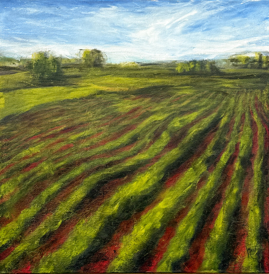 Red Field XXI by Mandy Main |  Artwork Main Image 