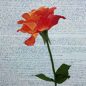 acrylic painting by Maria Karla Watson titled Delicate Fire