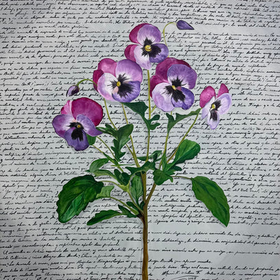 Magenta by Maria Karla Watson | Artwork Main Image