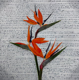 Original art for sale at UGallery.com | Paradise by Maria Karla Watson | $2,500 | acrylic painting | 36' h x 36' w | thumbnail 1