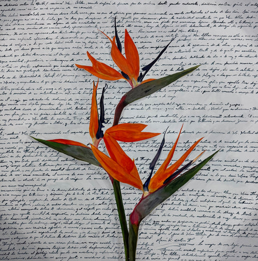 Paradise by Maria Karla Watson |  Artwork Main Image 