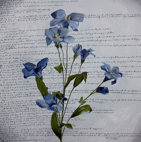 Original art for sale at UGallery.com | Pride and Prejudice by Maria Karla Watson | $4,000 | acrylic painting | 48' h x 48' w