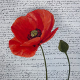 Original art for sale at UGallery.com | Resilience by Maria Karla Watson | $2,500 | acrylic painting | 36' h x 36' w | thumbnail 4