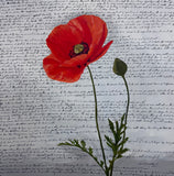 Original art for sale at UGallery.com | Resilience by Maria Karla Watson | $2,500 | acrylic painting | 36' h x 36' w | thumbnail 1