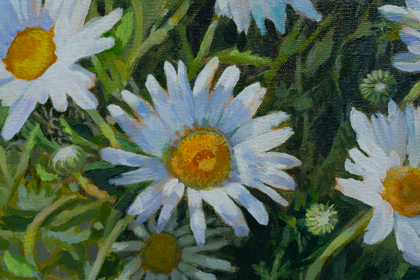 Daisies Greet the Sun by Mary Beatty-Brooks |  Closeup View of Artwork 