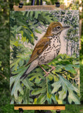 Original art for sale at UGallery.com | Ethereal Wood Thrush by Mary Beatty-Brooks | $600 | acrylic painting | 12' h x 9' w | thumbnail 3
