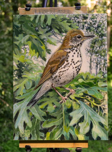 Ethereal Wood Thrush by Mary Beatty-Brooks |  Context View of Artwork 