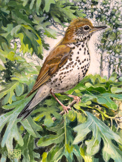 Ethereal Wood Thrush by Mary Beatty-Brooks | Artwork Main Image