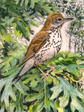 Original art for sale at UGallery.com | Ethereal Wood Thrush by Mary Beatty-Brooks | $600 | acrylic painting | 12' h x 9' w | thumbnail 1