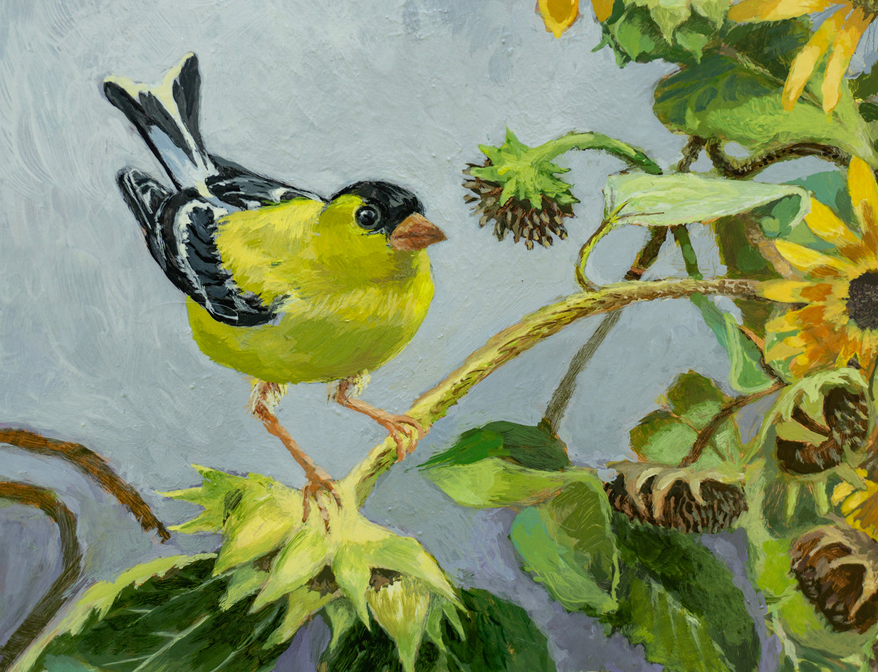 Goldfinch in a Tangle of Sunflowers by Mary Beatty-Brooks |  Closeup View of Artwork 