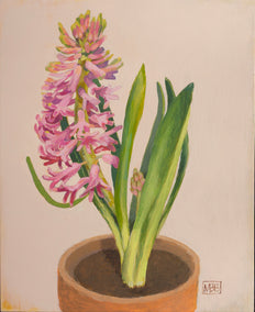 acrylic painting by Mary Beatty-Brooks titled Hyacinth in Clay Pot