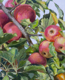 Original art for sale at UGallery.com | October Apples by Mary Beatty-Brooks | $725 | acrylic painting | 16' h x 12' w | thumbnail 4