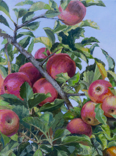 October Apples by Mary Beatty-Brooks |  Artwork Main Image 