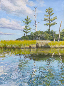 acrylic painting by Mary Beatty-Brooks titled Reflections from a Kayak