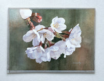 Original art for sale at UGallery.com | Cherry Blossoms in Close-Up by Masato Watanabe | $700 | watercolor painting | 12' h x 16' w | thumbnail 3