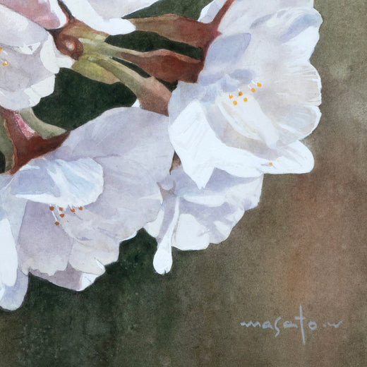 Cherry Blossoms in Close-Up by Masato Watanabe |   Closeup View of Artwork 