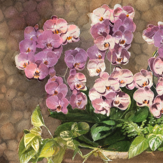 Orchids in Soft Light by Masato Watanabe |   Closeup View of Artwork 