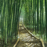 Original art for sale at UGallery.com | Path Through the Bamboo Grove by Masato Watanabe | $1,500 | watercolor painting | 16' h x 12' w | thumbnail 4