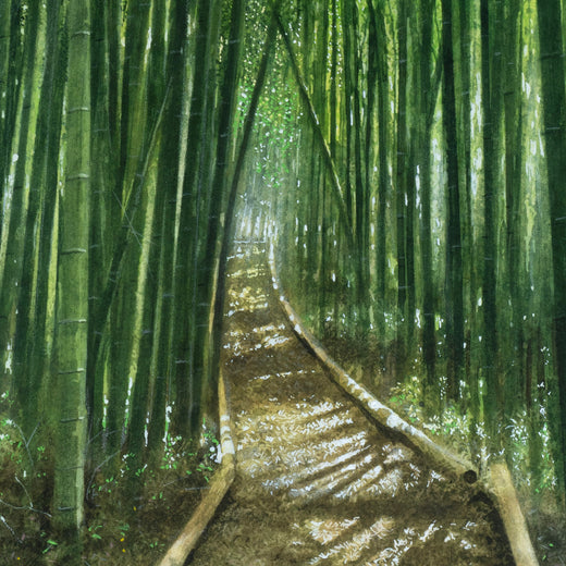 Path Through the Bamboo Grove by Masato Watanabe |   Closeup View of Artwork 