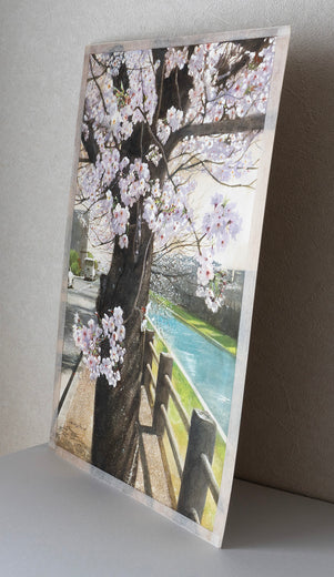 Spring Path and Cherry Tree by the River by Masato Watanabe |  Side View of Artwork 