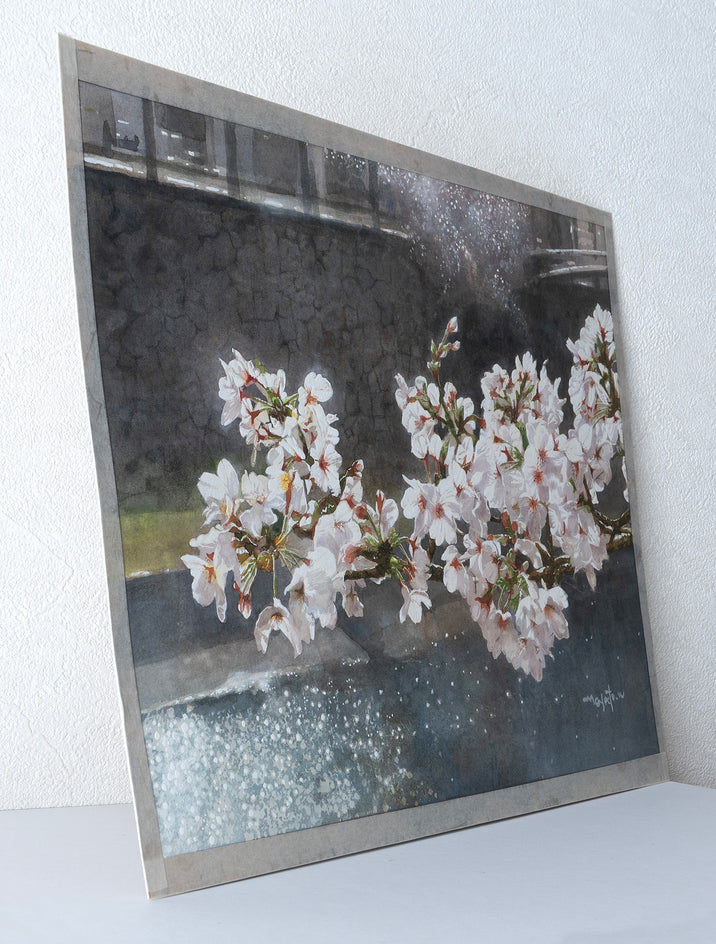 Spring Sunlight and Cherry Blossoms by Masato Watanabe |  Side View of Artwork 