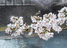Original art for sale at UGallery.com | Spring Sunlight and Cherry Blossoms by Masato Watanabe | $1,000 | watercolor painting | 12' h x 16' w