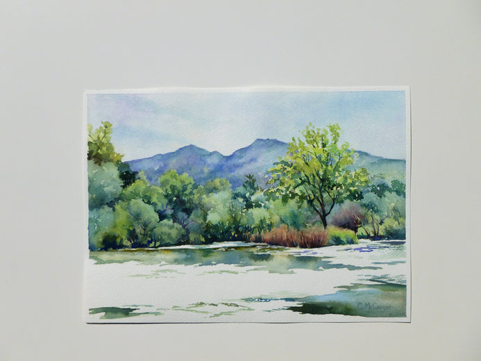 Mt. Diablo Across the Pond by Catherine McCargar |  Context View of Artwork 