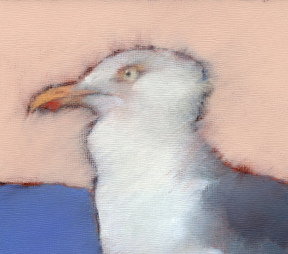 Herring Gull 1 by Nicholas Robertson |   Closeup View of Artwork 