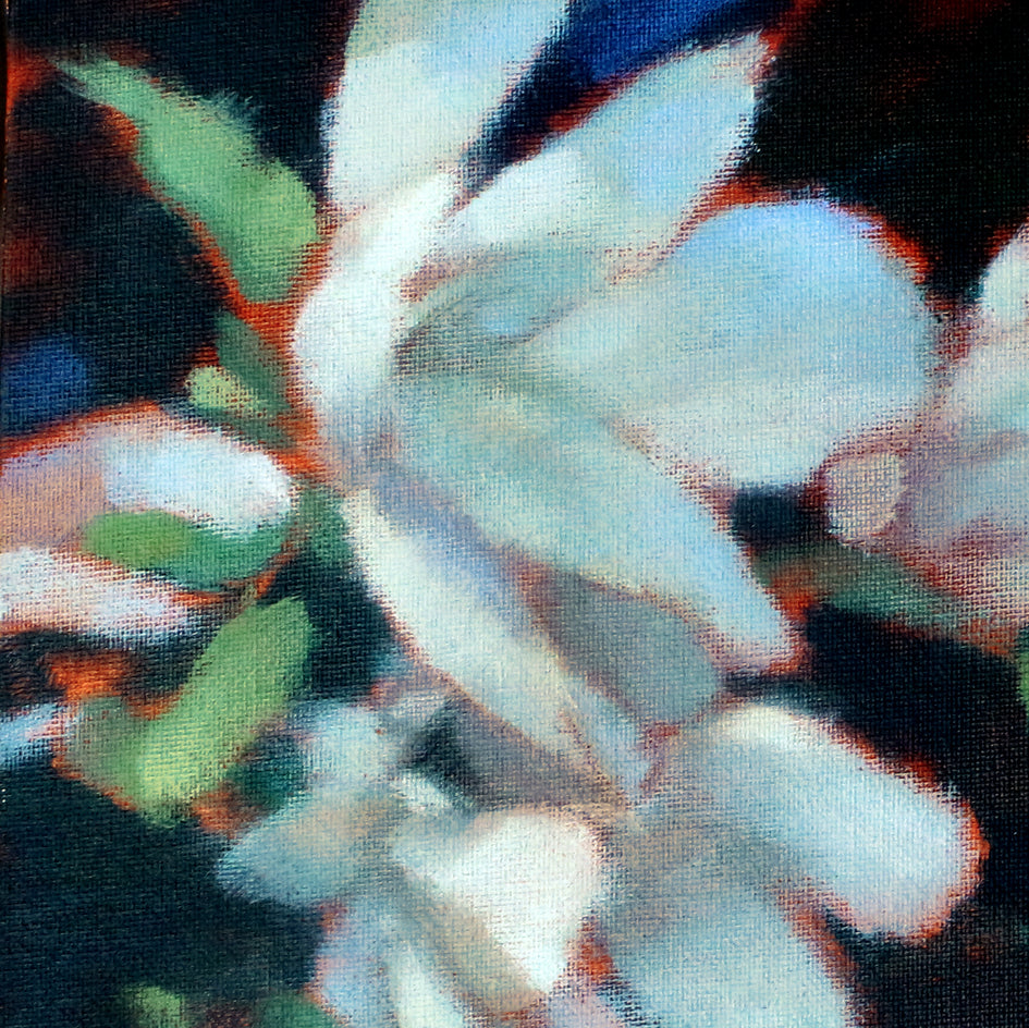 Magnolias by Nicholas Robertson |  Closeup View of Artwork 