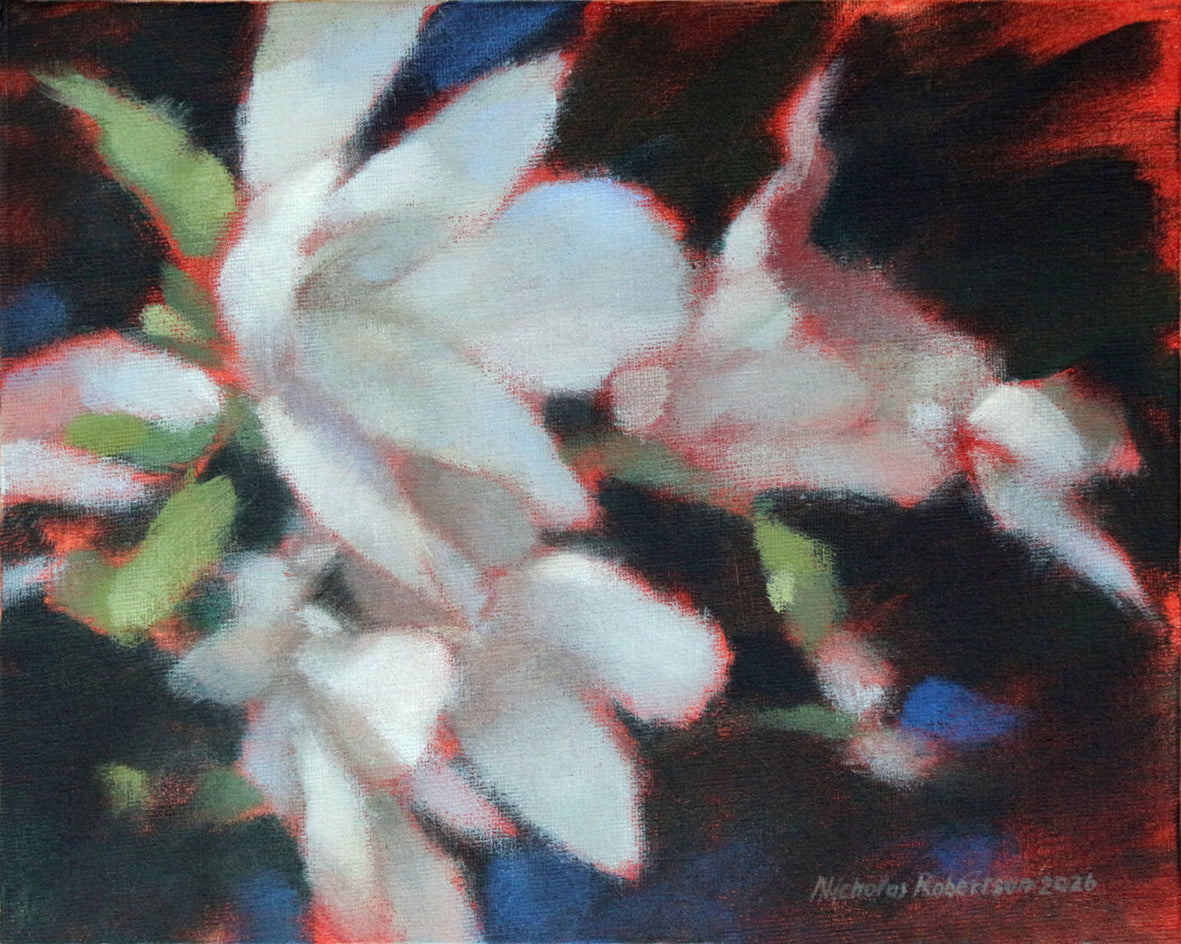 Magnolias by Nicholas Robertson |  Artwork Main Image 