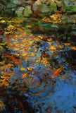 Original art for sale at UGallery.com | Autumn Koi by Onelio Marrero | $625 | oil painting | 12' h x 12' w | thumbnail 4